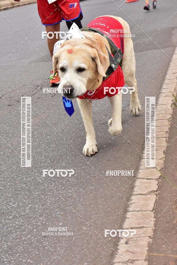 Buy your photos of the event1 Corrida e Caminhada da Santa Casa BH na Luta Contra o Cncer on Fotop