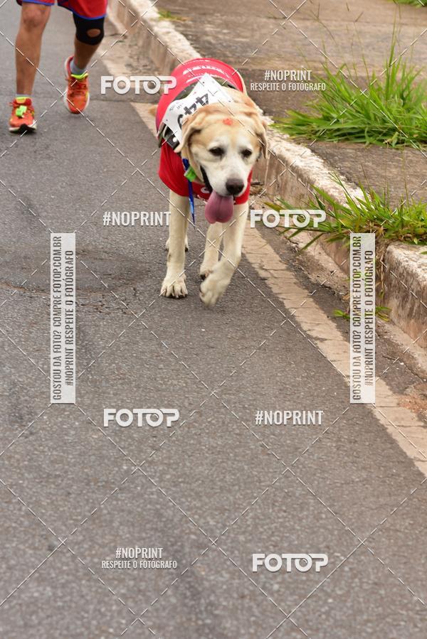 Buy your photos of the event1 Corrida e Caminhada da Santa Casa BH na Luta Contra o Cncer on Fotop