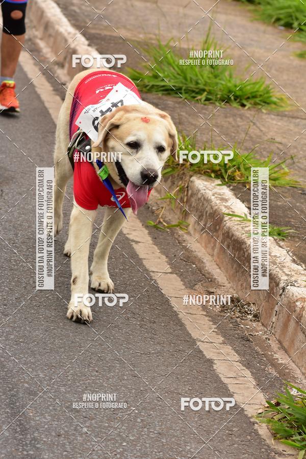 Buy your photos of the event1 Corrida e Caminhada da Santa Casa BH na Luta Contra o Cncer on Fotop