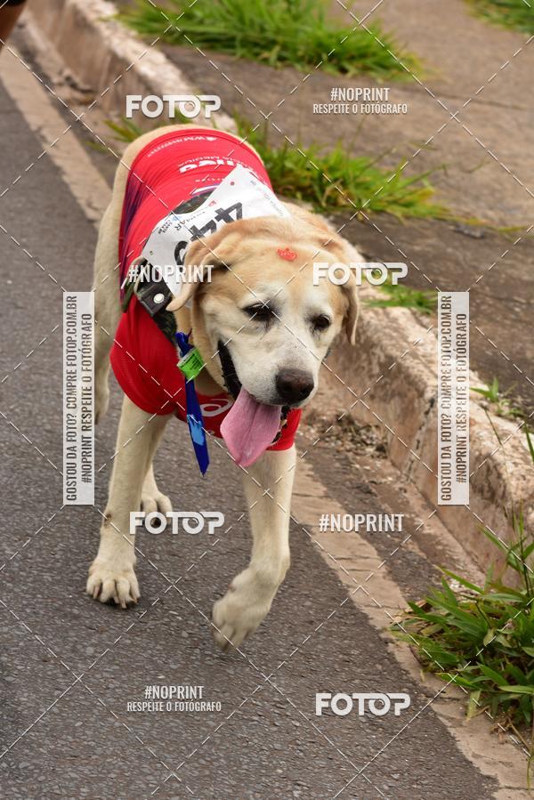 Buy your photos of the event1 Corrida e Caminhada da Santa Casa BH na Luta Contra o Cncer on Fotop