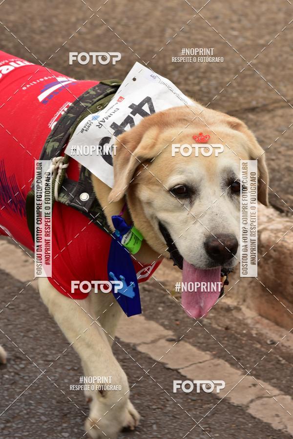 Buy your photos of the event1 Corrida e Caminhada da Santa Casa BH na Luta Contra o Cncer on Fotop