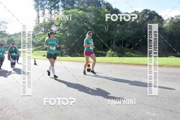 Compra tus fotos del eventoLets Run Ibirapitanga En Fotop