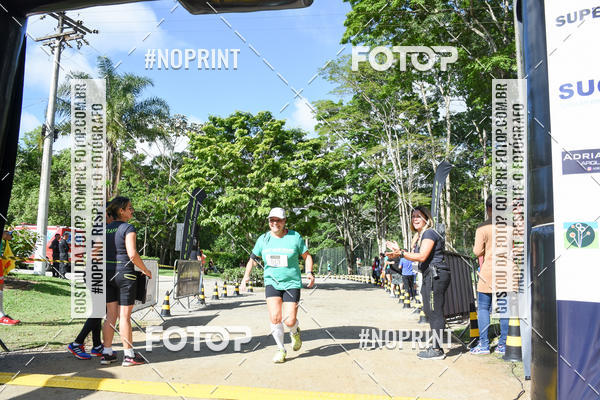 Buy your photos of the eventLets Run Ibirapitanga on Fotop