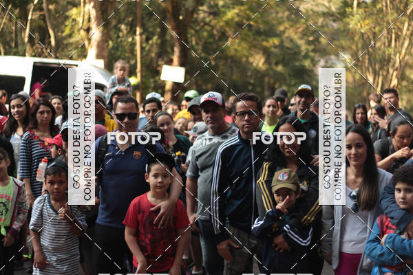 Buy your photos of the event11 Caminhada Ecolgica  Subida ao Cristo - Colgio Nini Mouro on Fotop