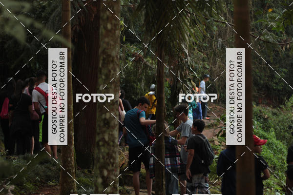Buy your photos of the event11 Caminhada Ecolgica  Subida ao Cristo - Colgio Nini Mouro on Fotop