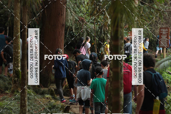 Buy your photos of the event11 Caminhada Ecolgica  Subida ao Cristo - Colgio Nini Mouro on Fotop