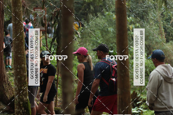 Buy your photos of the event11 Caminhada Ecolgica  Subida ao Cristo - Colgio Nini Mouro on Fotop