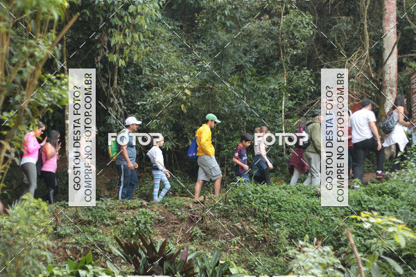 Buy your photos of the event11 Caminhada Ecolgica  Subida ao Cristo - Colgio Nini Mouro on Fotop