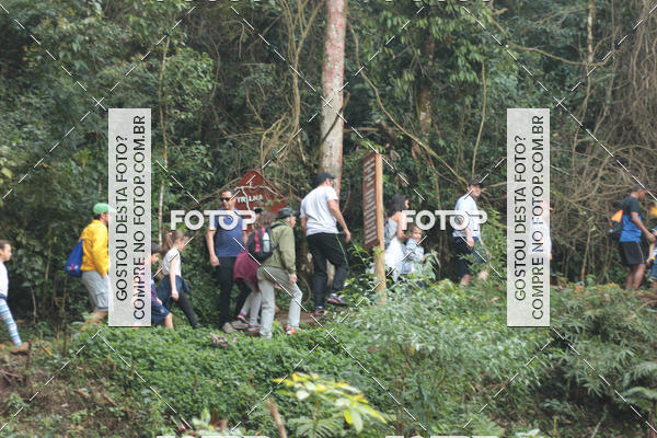 Buy your photos of the event11 Caminhada Ecolgica  Subida ao Cristo - Colgio Nini Mouro on Fotop