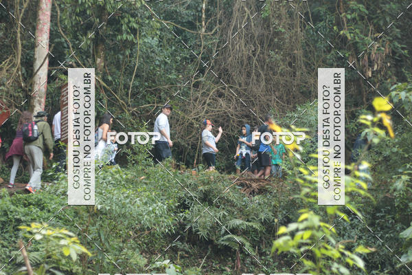 Buy your photos of the event11 Caminhada Ecolgica  Subida ao Cristo - Colgio Nini Mouro on Fotop