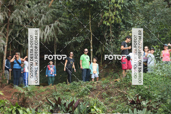 Buy your photos of the event11 Caminhada Ecolgica  Subida ao Cristo - Colgio Nini Mouro on Fotop