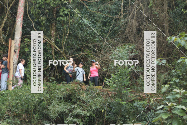 Buy your photos of the event11 Caminhada Ecolgica  Subida ao Cristo - Colgio Nini Mouro on Fotop