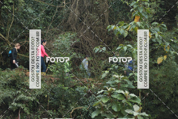 Buy your photos of the event11 Caminhada Ecolgica  Subida ao Cristo - Colgio Nini Mouro on Fotop