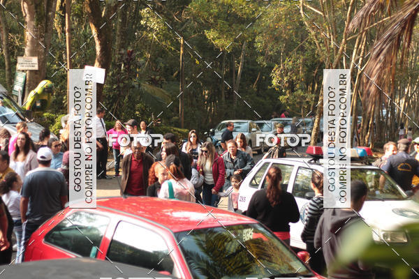 Buy your photos of the event11 Caminhada Ecolgica  Subida ao Cristo - Colgio Nini Mouro on Fotop