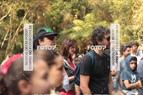 Buy your photos of the event11 Caminhada Ecolgica  Subida ao Cristo - Colgio Nini Mouro on Fotop