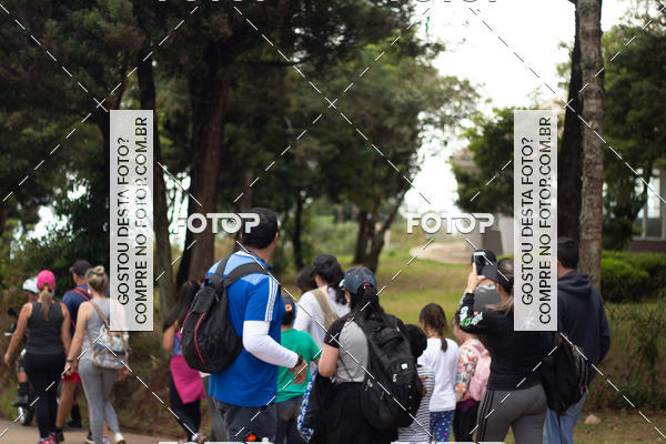 Compre suas fotos do evento11 Caminhada Ecolgica  Subida ao Cristo - Colgio Nini Mouro no Fotop