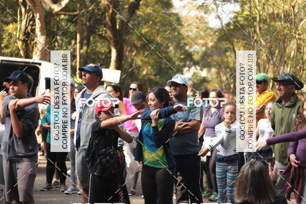 Buy your photos of the event11 Caminhada Ecolgica  Subida ao Cristo - Colgio Nini Mouro on Fotop