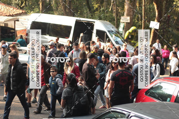 Buy your photos of the event11 Caminhada Ecolgica  Subida ao Cristo - Colgio Nini Mouro on Fotop