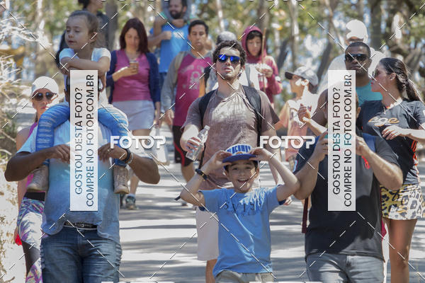 Buy your photos of the event11 Caminhada Ecolgica  Subida ao Cristo - Colgio Nini Mouro on Fotop