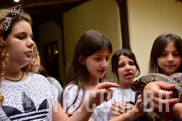 Buy your photos of the eventNR1 - Cl�ssico de 16 a 18/09/18 on Fotop