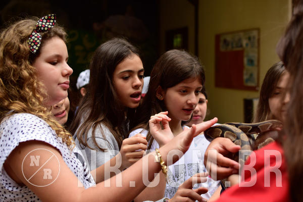 Buy your photos of the eventNR1 - Cl�ssico de 16 a 18/09/18 on Fotop