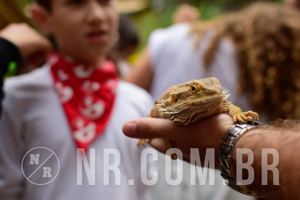 Buy your photos of the eventNR1 - Cl�ssico de 16 a 18/09/18 on Fotop