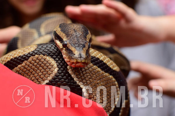 Buy your photos of the eventNR1 - Cl�ssico de 16 a 18/09/18 on Fotop