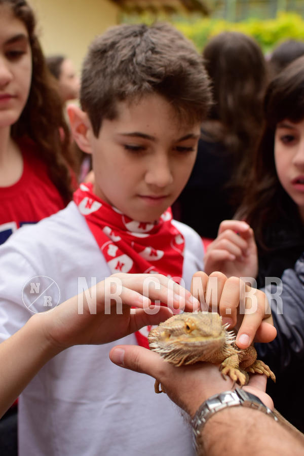 Buy your photos of the eventNR1 - Cl�ssico de 16 a 18/09/18 on Fotop