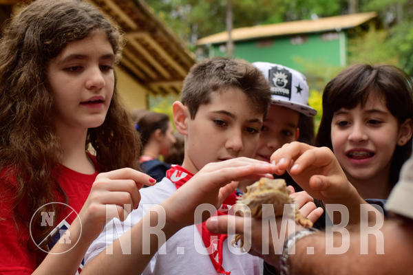 Buy your photos of the eventNR1 - Cl�ssico de 16 a 18/09/18 on Fotop