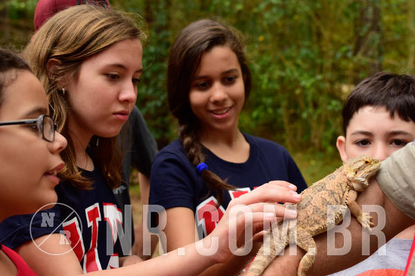 Buy your photos of the eventNR1 - Cl�ssico de 16 a 18/09/18 on Fotop