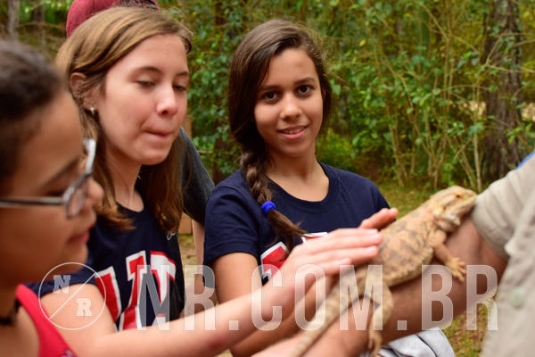 Buy your photos of the eventNR1 - Cl�ssico de 16 a 18/09/18 on Fotop