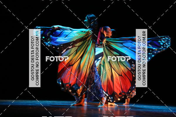 Buy your photos of the eventI UBATUBA  DANCE FESTIVAL (SBADO) on Fotop