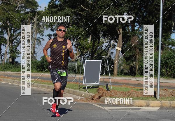 Buy your photos of the eventVibe Run on Fotop