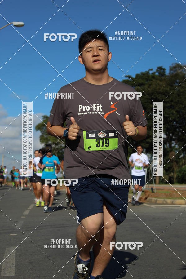 Buy your photos of the eventVibe Run on Fotop