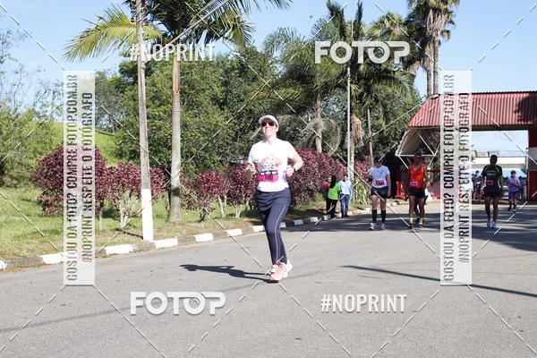 Buy your photos of the eventVibe Run on Fotop