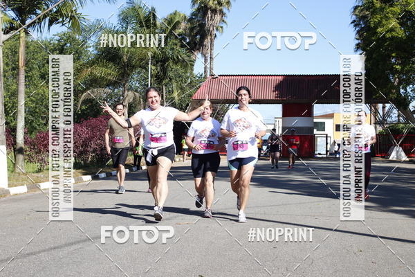 Buy your photos of the eventVibe Run on Fotop