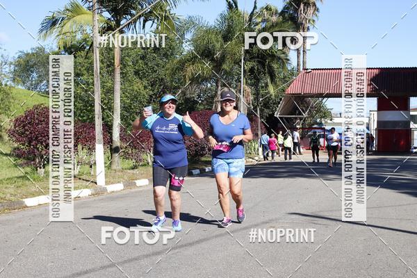 Buy your photos of the eventVibe Run on Fotop