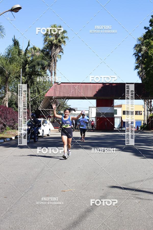 Buy your photos of the eventVibe Run on Fotop