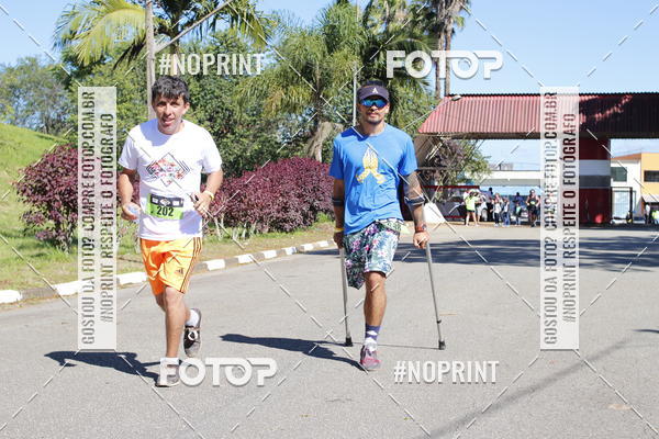 Buy your photos of the eventVibe Run on Fotop