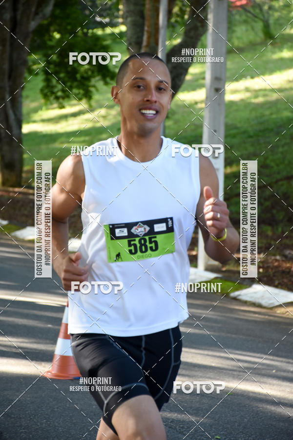 Buy your photos of the eventVibe Run on Fotop