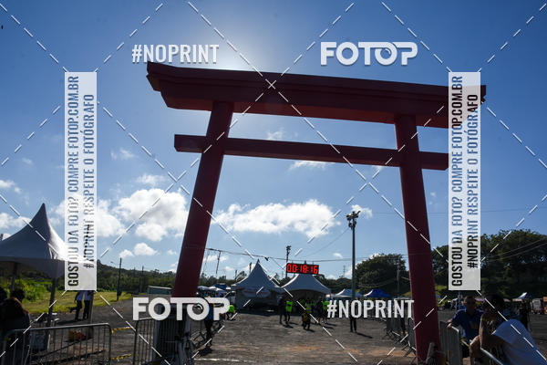 Buy your photos of the eventVibe Run on Fotop