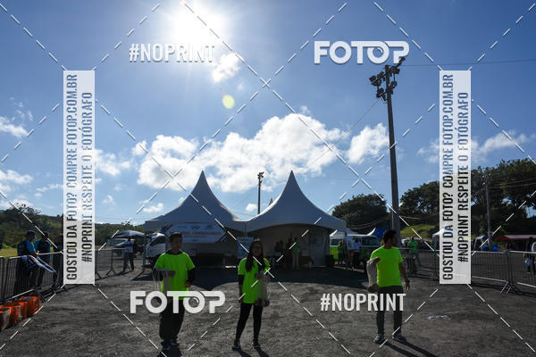 Buy your photos of the eventVibe Run on Fotop