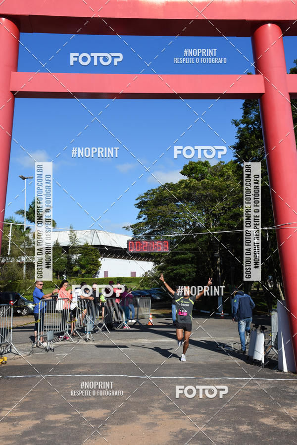 Buy your photos of the eventVibe Run on Fotop