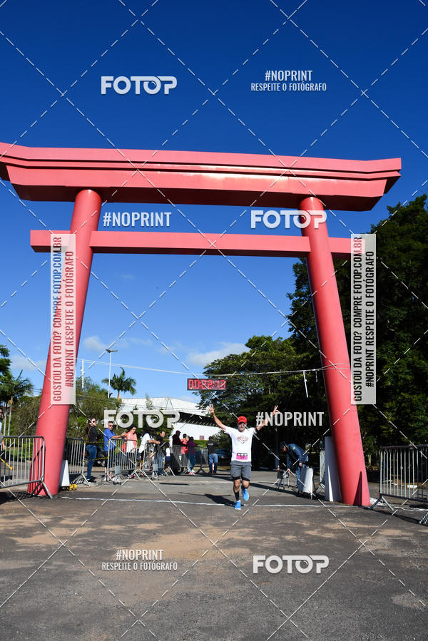Buy your photos of the eventVibe Run on Fotop
