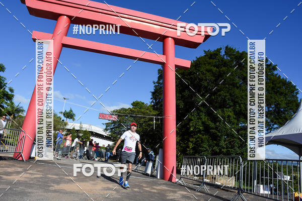 Buy your photos of the eventVibe Run on Fotop