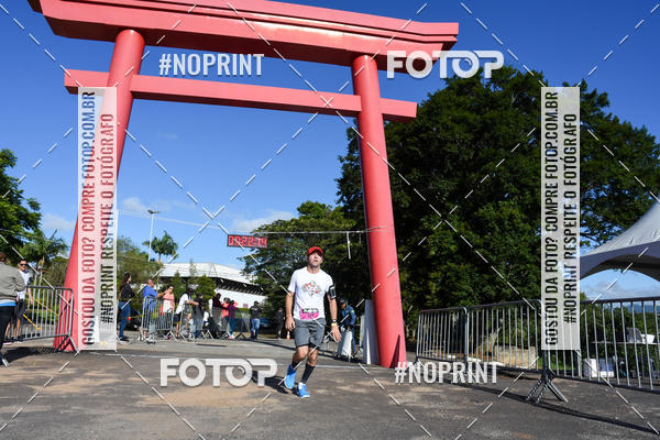 Buy your photos of the eventVibe Run on Fotop