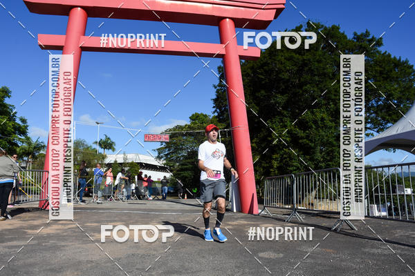 Buy your photos of the eventVibe Run on Fotop