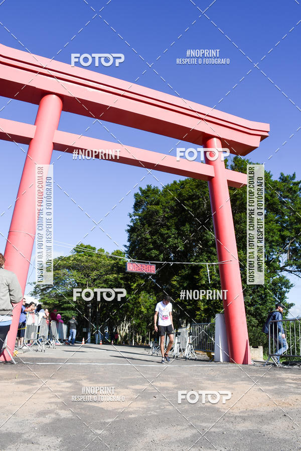 Buy your photos of the eventVibe Run on Fotop