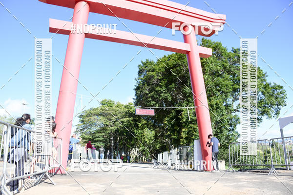 Buy your photos of the eventVibe Run on Fotop