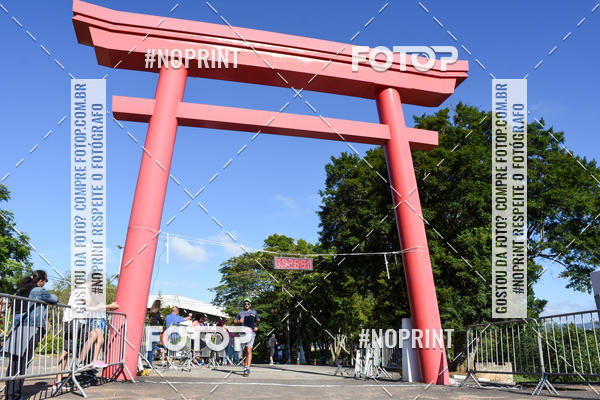 Buy your photos of the eventVibe Run on Fotop